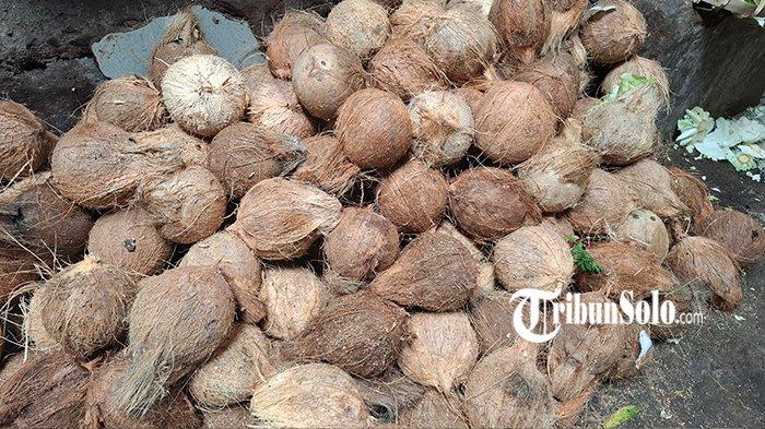 HARGA KELAPA MELONJAK - Komoditi kelapa di Pasar Bunder Sragen, yang harganya masih mahal pada Minggu (4/5/2025). Di Pasar Bunder Sragen, satu biji kelapa menyentuh harga Rp 14.000 - Rp 15.000. Harga tersebut masih mahal, lantaran harga normal hanya Rp 7.000 - Rp 8.000.