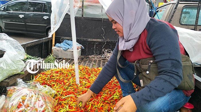 ILUSTRASI CABAI. Pedagang cabai menyortir cabai yang dibeli dari petani, di Pasar Sayur Cepogo, Senin (22/1/2024) lalu. 
