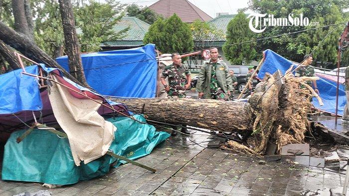 HUJAN ES DAN ANGIN - Pohon tumbang di Alun-alun Karanganyar pasca diterjang hujan es dan angin kencang, Jum'at (21/3/2025). Satu orang tewas dan dua orang terluka parah akibat tertimpa pohon tumbang tersebut.