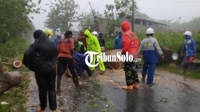Angin Ribut 'Ngamuk' di Dua Kecamatan di Wonogiri, Pohon Tumbang Tutup ...