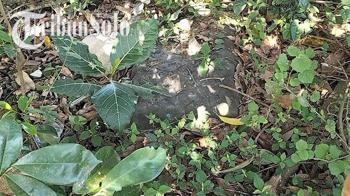 Mitos Batu Ditunggu Macan Gaib di Sawit Boyolali : Sering untuk Ritual ...