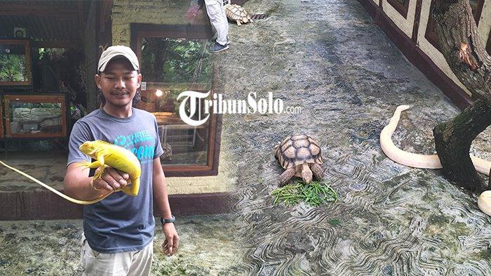 Suasana Mini Zoo Taman Kemuning di Dusun/Desa Kemuning, Kecamatan Ngargoyoso, Kabupaten Karanganyar, Minggu (28/1/2024).