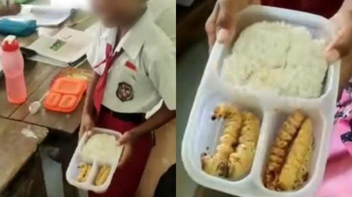Guru diserang netizen usai video perlihatkan muridnya yang bawa bekal ulat sagu ke sekolah