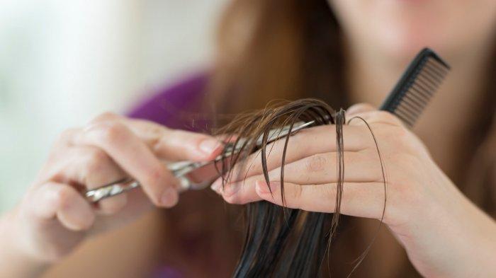 Cara Potong Rambut Sendiri di Rumah, Begini Teknik Memotong Rambut ...
