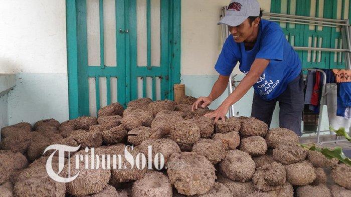 Sriyanto (30) sumringah menunjukkan porang bernilai tinggi hasil tanamannya di Dukuh Kragilan, Desa Karangnongko, Kecamatan Mojosongo, Kabupaten Boyolali, Selasa (3/8/2021).