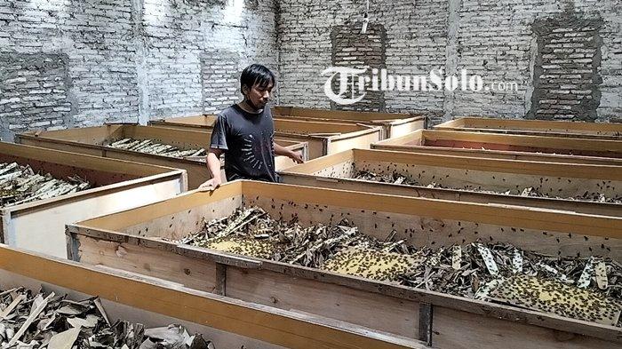 Arti Pertanda Bunyi Jangkrik Pada Pagi Hari, Pertanda Baik!
