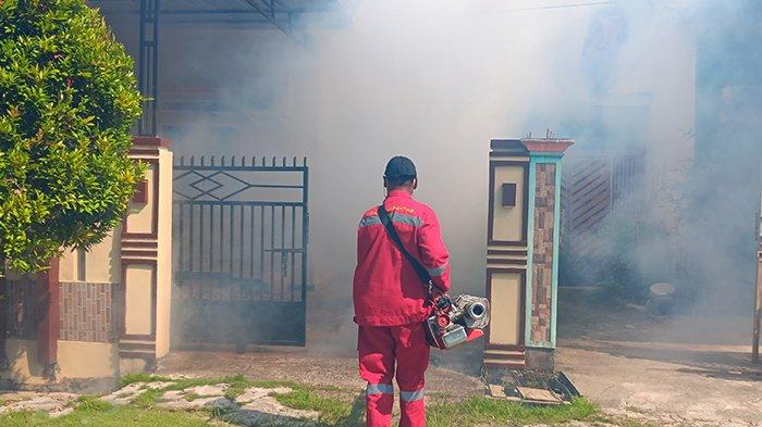 Seorang petugas sedang melakukan fogging di Perumahan KPR Cenderawasih Aimas, Kabupaten Sorong, Selasa (12/12/2023).