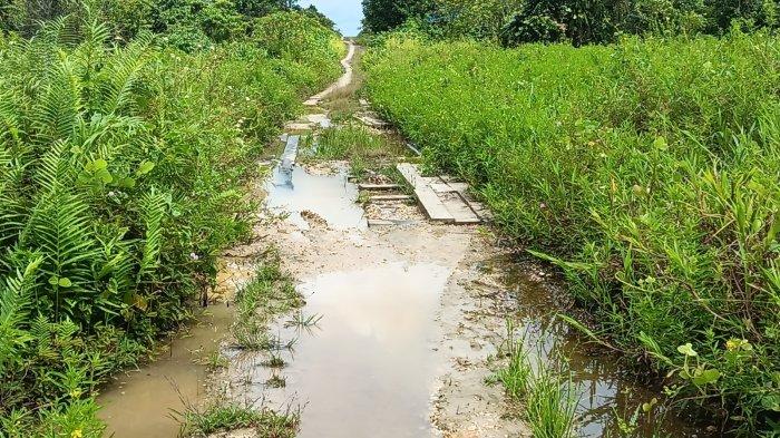 Potret ruas jalan rusak di Kampung Wembik, Sorong Selatan, Kamis (13/6/2024).