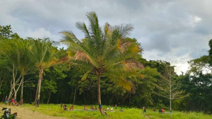 Padang rumput di Bukit Sontiri, Kabupaten Tambrauw, Papua Barat Daya.