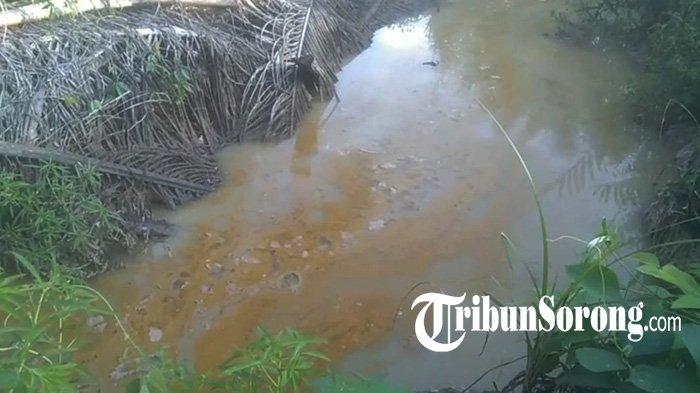TERCEMAR LIMBAH SAWIT - Kondisi kali di Kampung Klasof, Distrik Moisegen, Kabupaten Sorong, Papua Barat Daya tampak pekat tercemar limbah sawit, Minggu (18/5/2025).