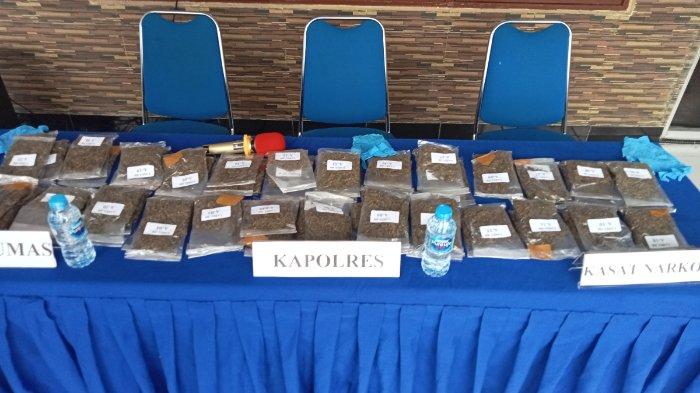 Barang bukti narkoba jenis ganja yang berhasil diungkap.