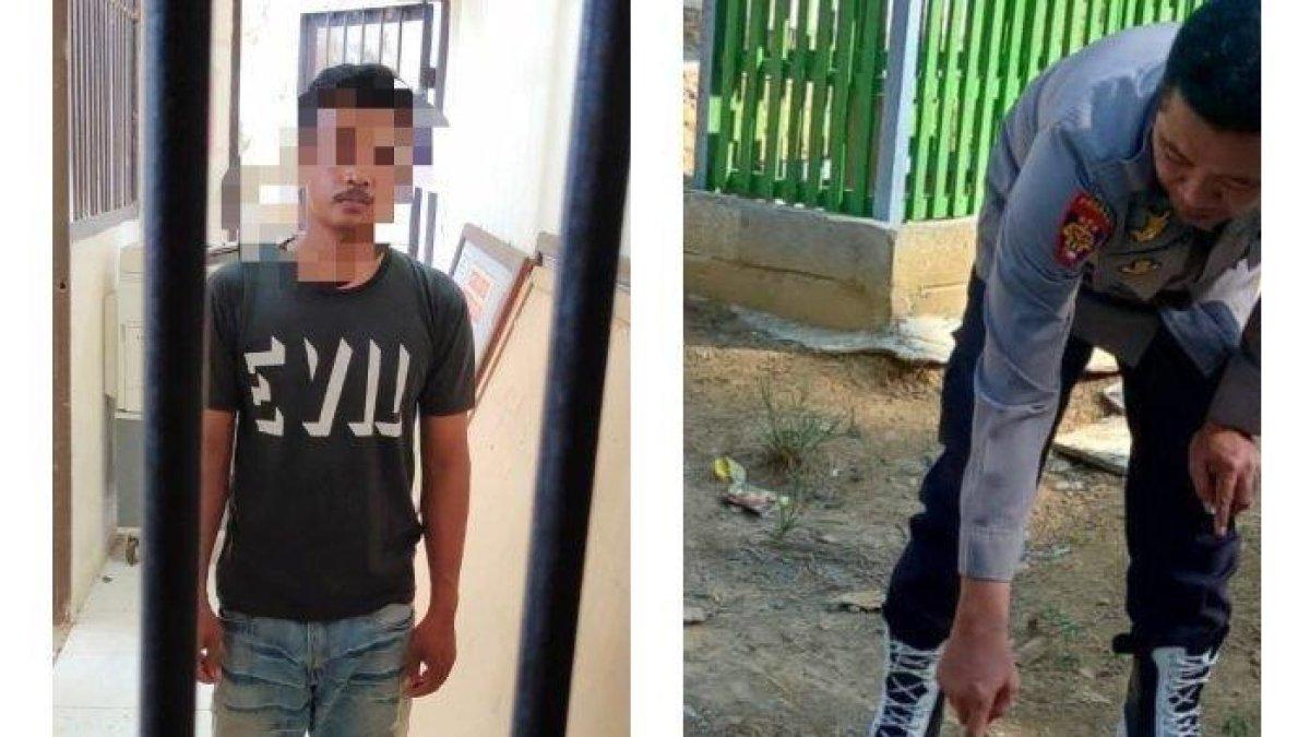Abdullah (53), warga Dusun Sumpuloloe, Kecamatan Sampaga, Kabupaten Mamuju, Provinsi Sulawesi Barat (Sulbar) tewas ditikam Wandi. Foto pelaku bernama wandi (kiri) dan lokasi penikaman.