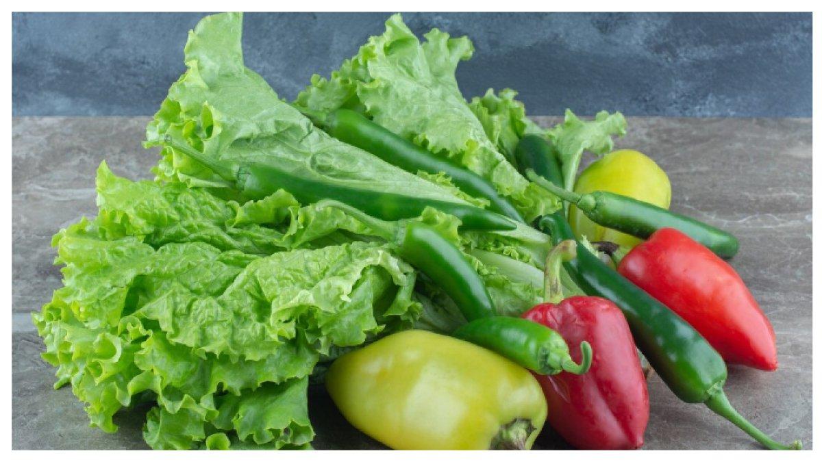 ANEKA SAYUR- Bayam, kale, dan brokoli kaya antioksidan, zat besi, dan kalsium yang membantu mengatur estrogen serta mengurangi kembung, nyeri haid, dan perubahan suasana hati.