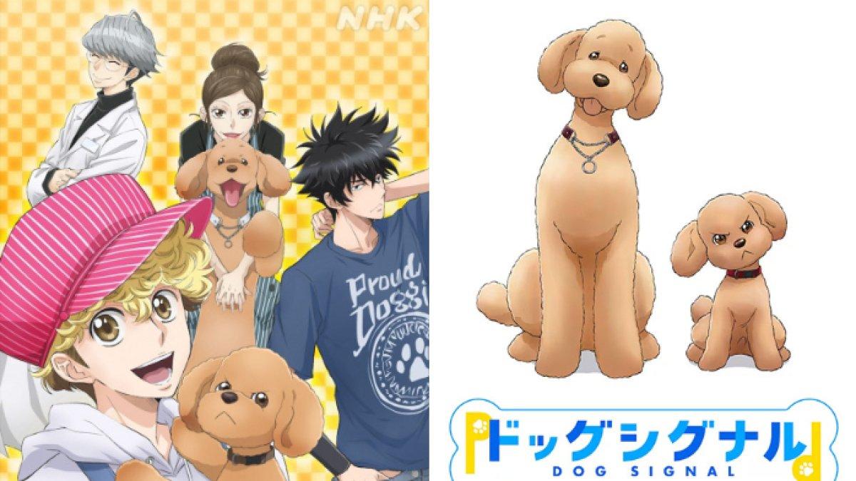 Anime Dog Signal