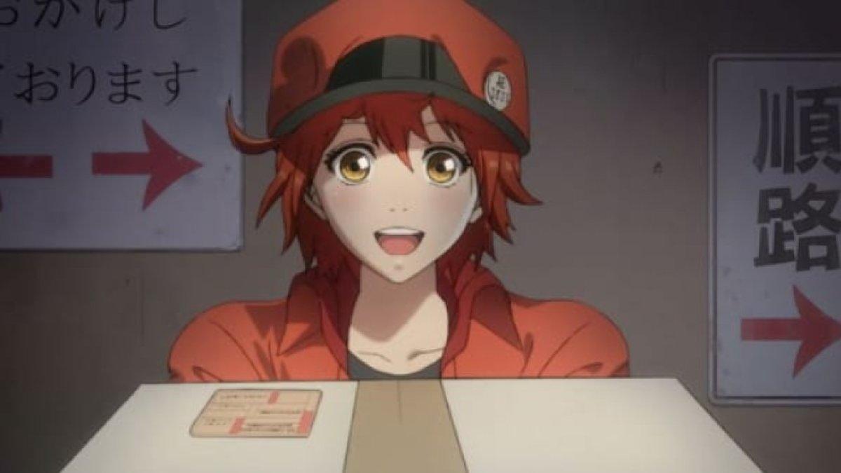 Anime Hataraku Saibou CM