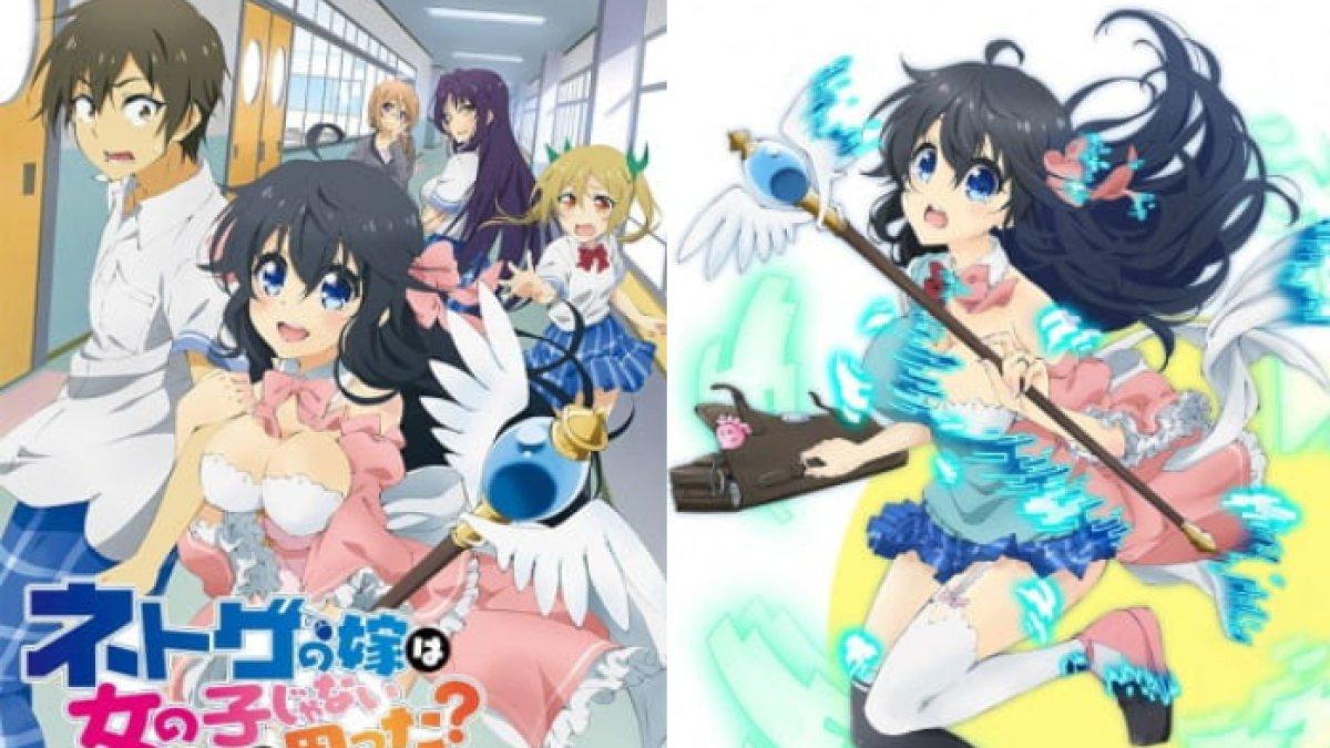 Anime Netoge no Yome wa Onnanoko ja Nai to Omotta?