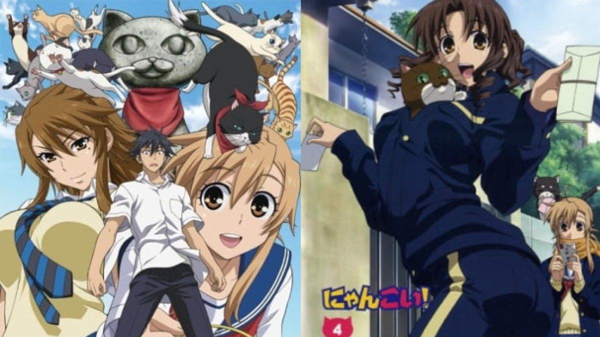 Anime Nyan Koi!