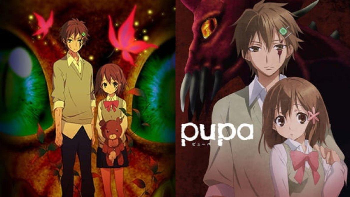Anime Pupa