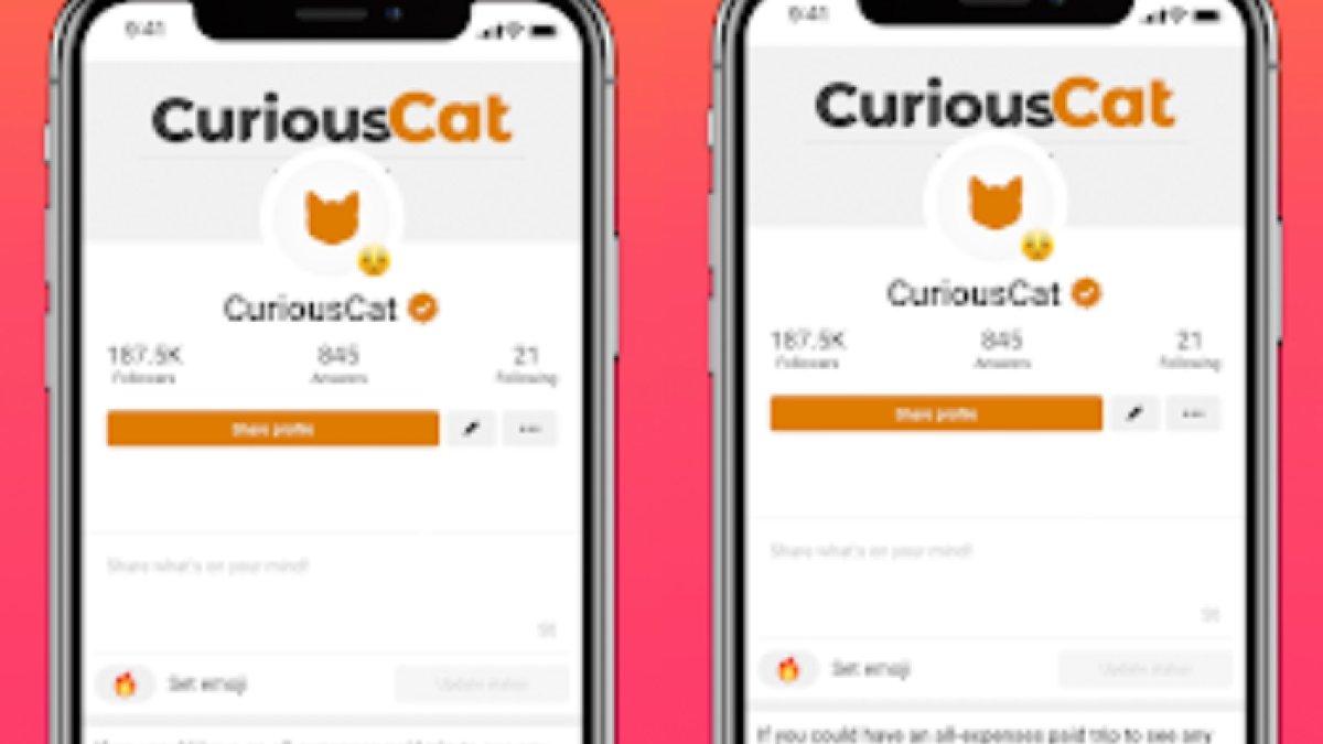 Aplikasi Curious Cat menawarkan cara menghasilkan uang yang mudah