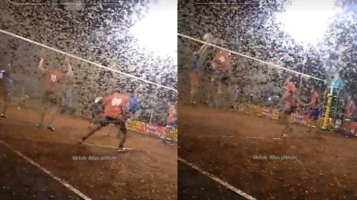 Atlet voli yang sedang bertanding, diserang ribuan kawanan laron.