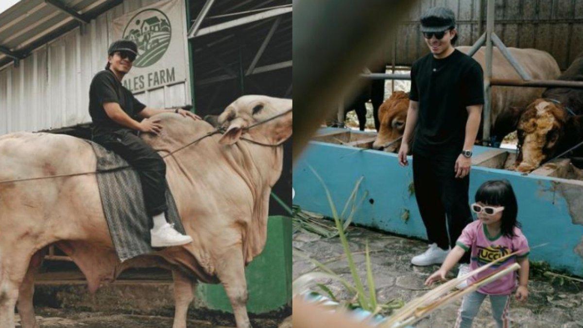 Atta Halilintar menyempatkan diri membeli sapi sebelum menunaikan ibadah haji.
