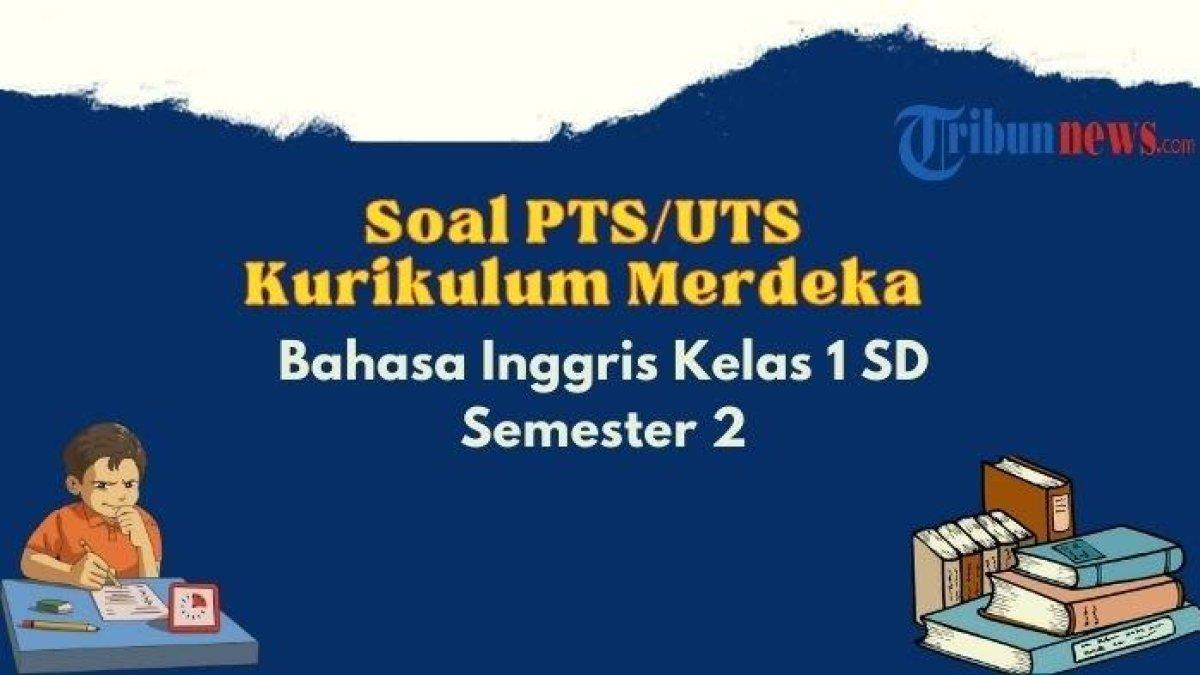 SOAL PTS/UTS - Inilah contoh soal PTS, UTS Bahasa Inggris kelas 1 semester 2 Kurikulum Merdeka yang terdiri dari 40 soal pilihan ganda dan kunci jawabannya.