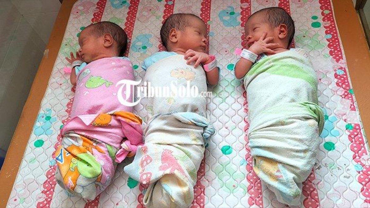 Bayi kembar tiga identik