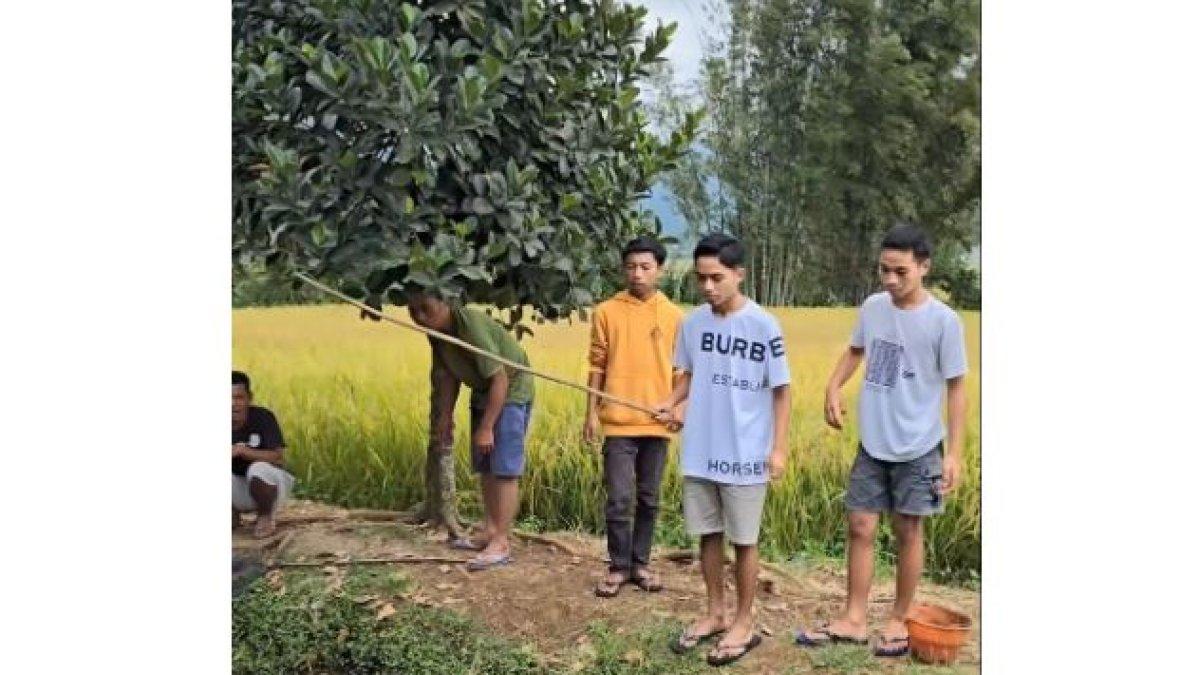 Betrand Peto juga melakukan