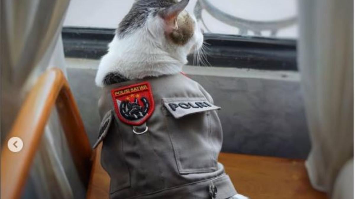 BOBBY KERTANEGARA JADI MODEL CATWALK - Bobby Kertanegara sendiri bukan nama asing bagi publik, terutama sejak Prabowo resmi dilantik sebagai Presiden Indonesia. 