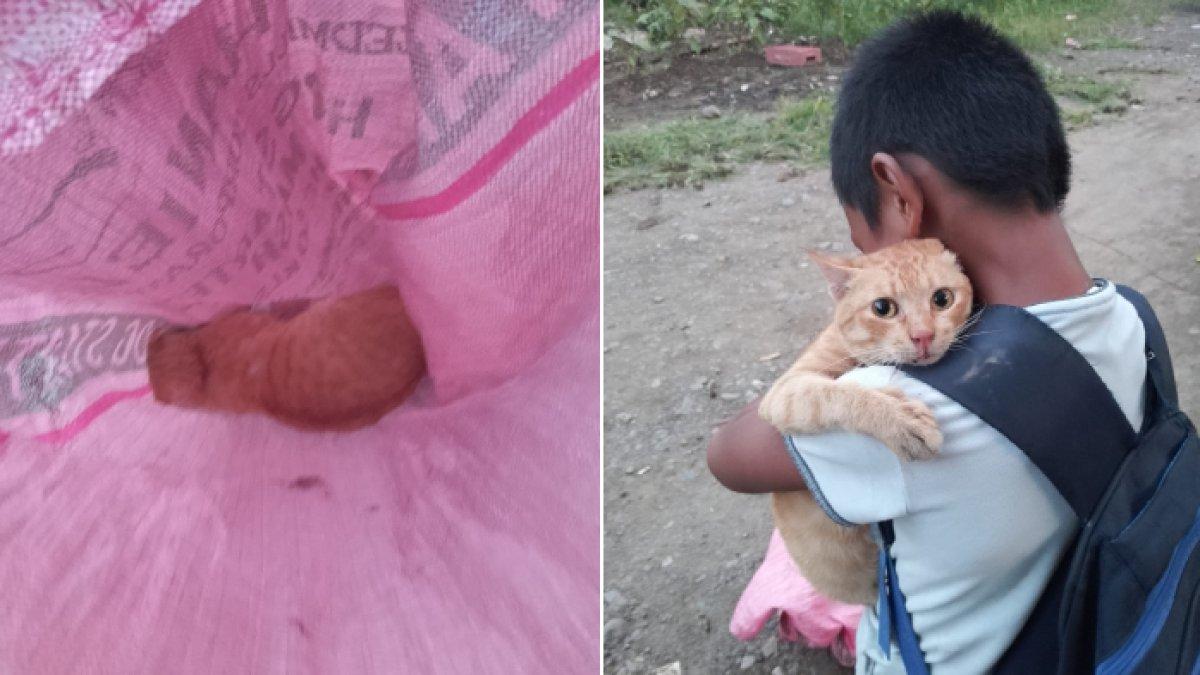 Bocah di Filipina pulang sekolah senyum-senyum bawa karung, ternyata isinya kucing.