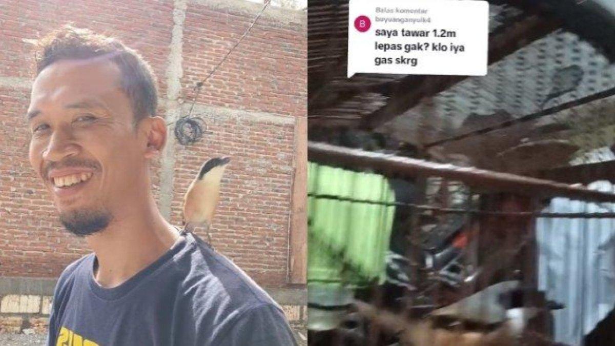 Burung cendet ditawar Rp 1,2 miliar