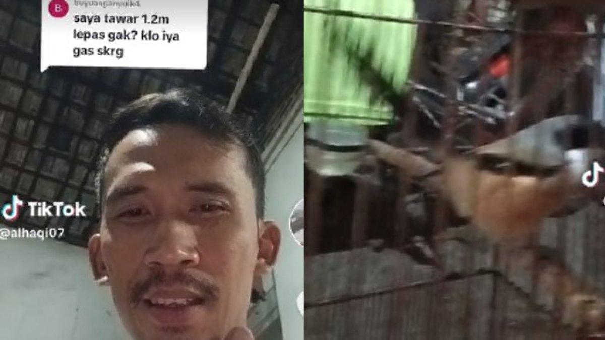 Burung cendet milik warga Jatim ditawar Rp1,2 miliar