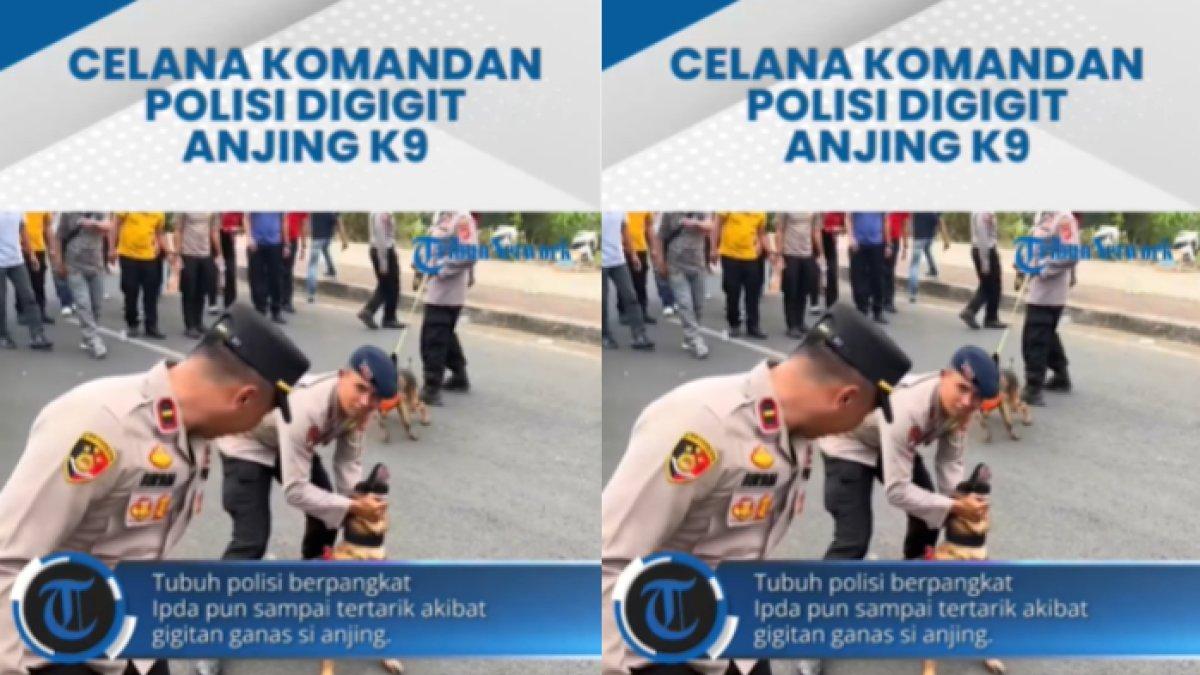 Celana komandan polisi digigit anjing