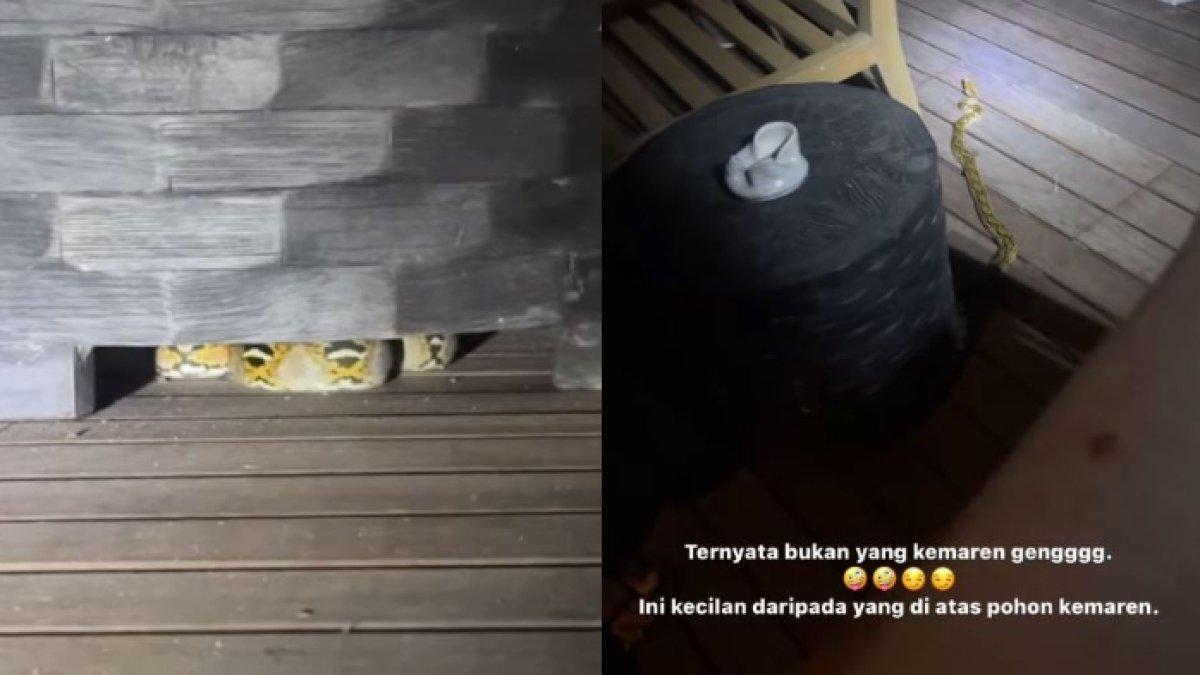 Curhat Nana Mirdad rumahnya kemasukan ular piton