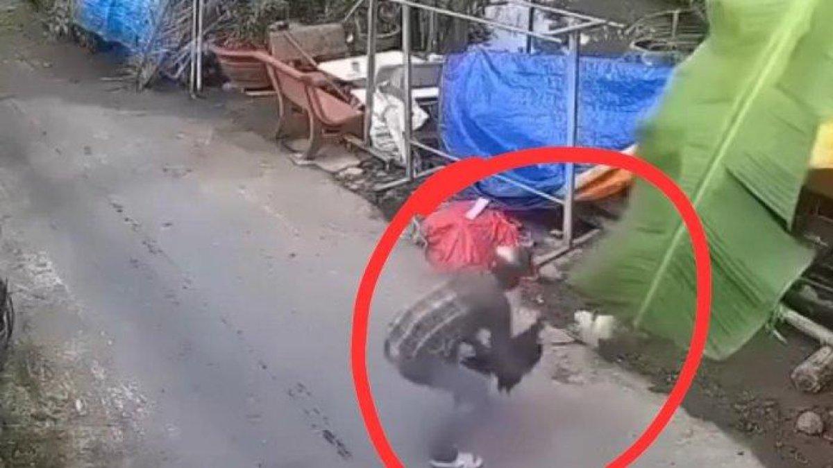 Detik-detik maling ayam beraksi dalam hitungan detik saja