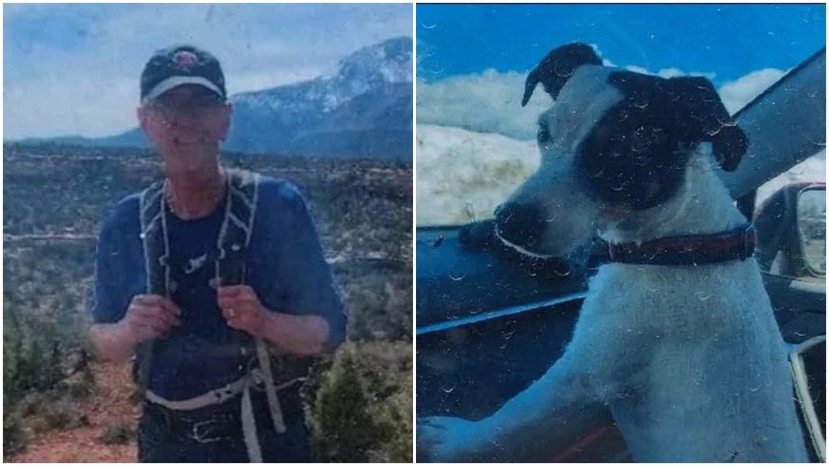 Seekor anjing bernama Finney setia menemani jasad pemiliknya di puncak gunung selama dua bulan. Mereka sempat dilaporkan hilang oleh keluarga setelah izin mendaki.