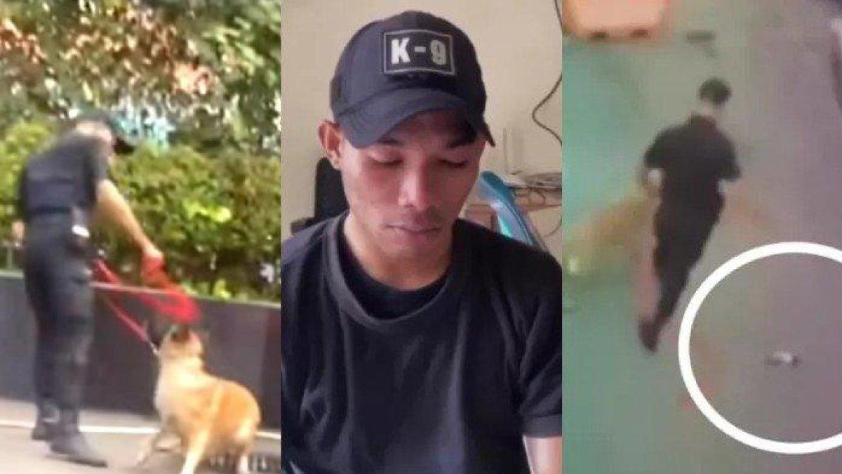 Fakta baru soal kasus satpam pukul anjing di Plaza Indonesia