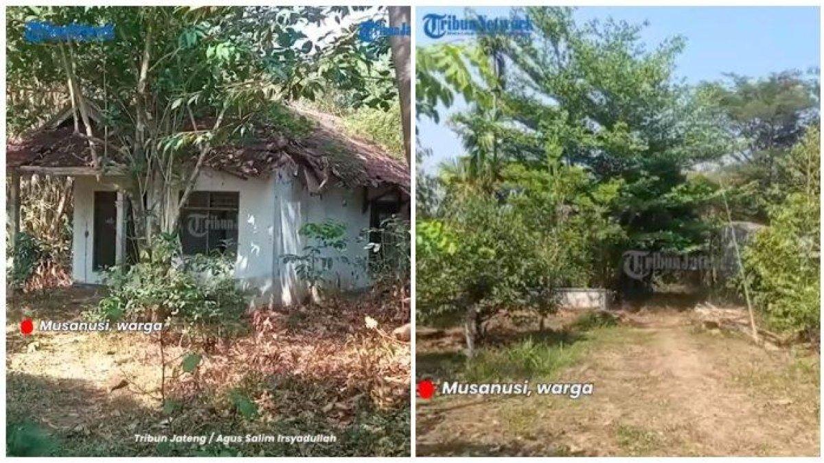 Fakta viral video yang memperlihatkan sejumlah rumah kosong di Cepoko, Gunungpati, Semarang, Jawa Tengah, disebut 'kampung mati'.