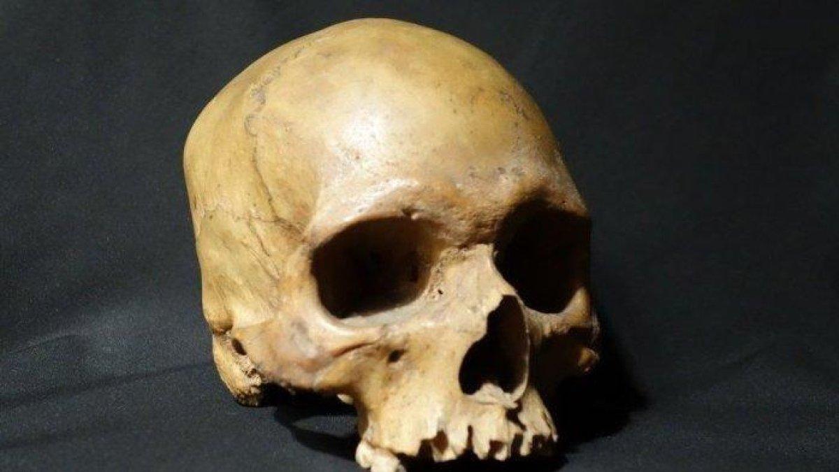 Ilustrasi tengkorak - kerangka manusia.