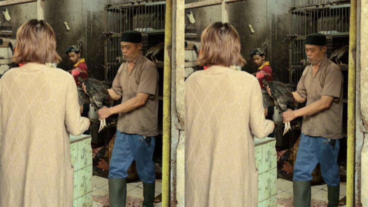 Indah Pertamasari belanja ayam ke pasar