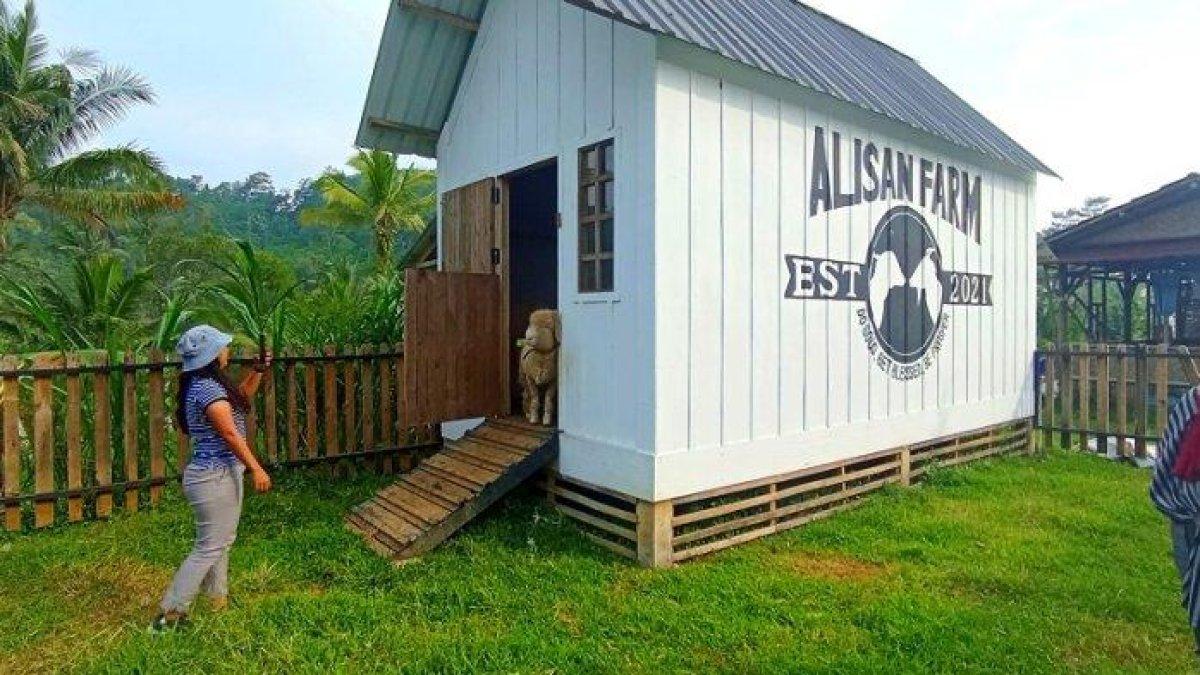 Interaksi pengunjung dengan ternak
