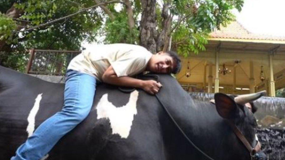 Irfan Hakim sering membuat konten bersama sapi-sapinya