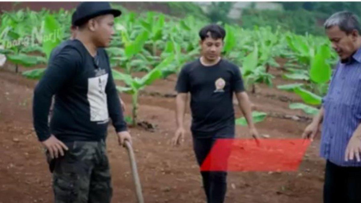 NARJI JADI PETANI - Istri Narji diam-diam beli sawah pakai tabungan sendiri untuk investasi jangka panjang