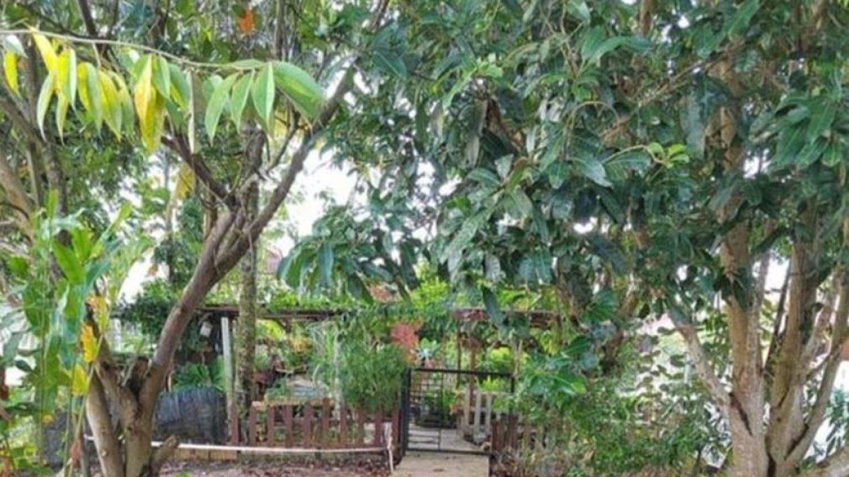 Jalur jogging yang sering digunakan untuk umum