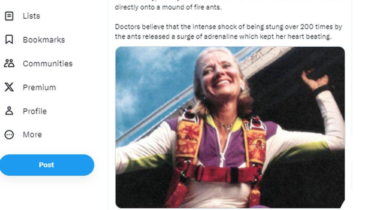 Tangkapan layar twit soal Joan Murray, penerjun payung Amerika Serikat yang selamat usai jatuh dari ketinggian 4.400 meter di atas permukaan laut.