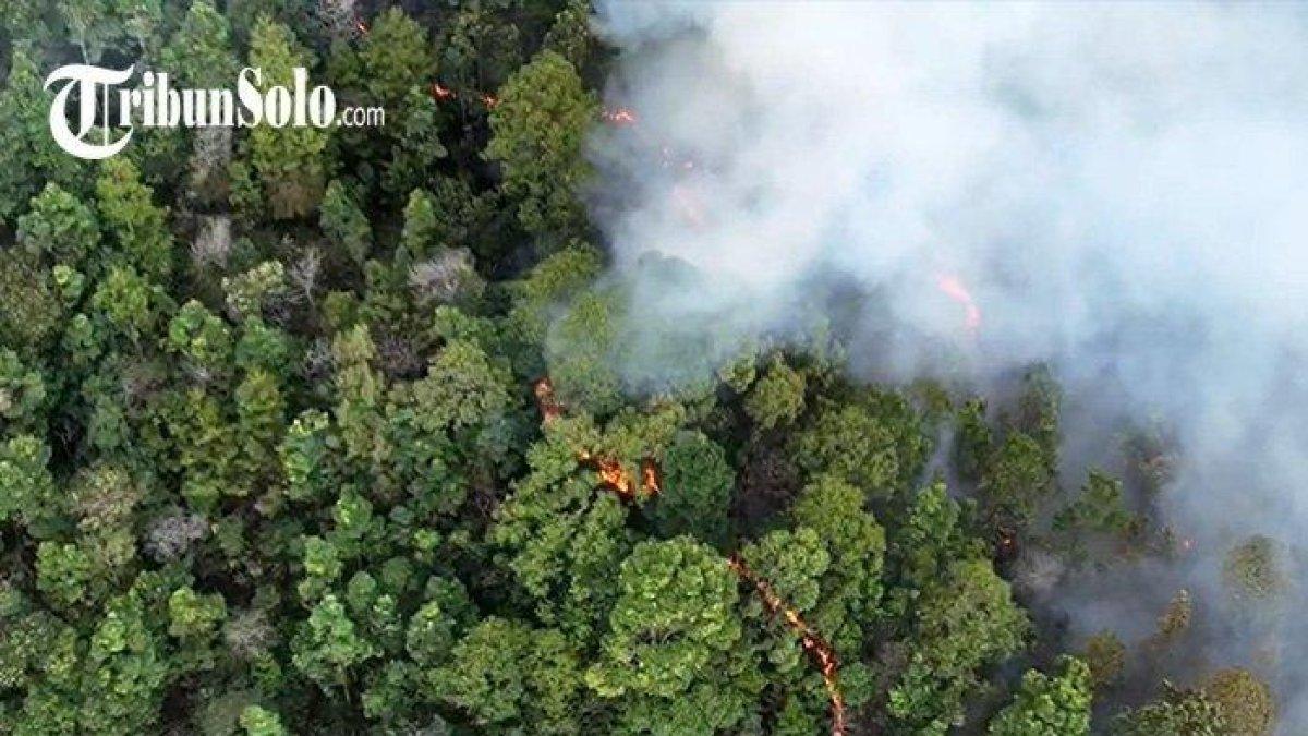 Kawasan hutan Gunung Lawu yang terbakar di kawasan Jogorogo, Ngawi, Jawa Timur, Senin (2/10/2023).