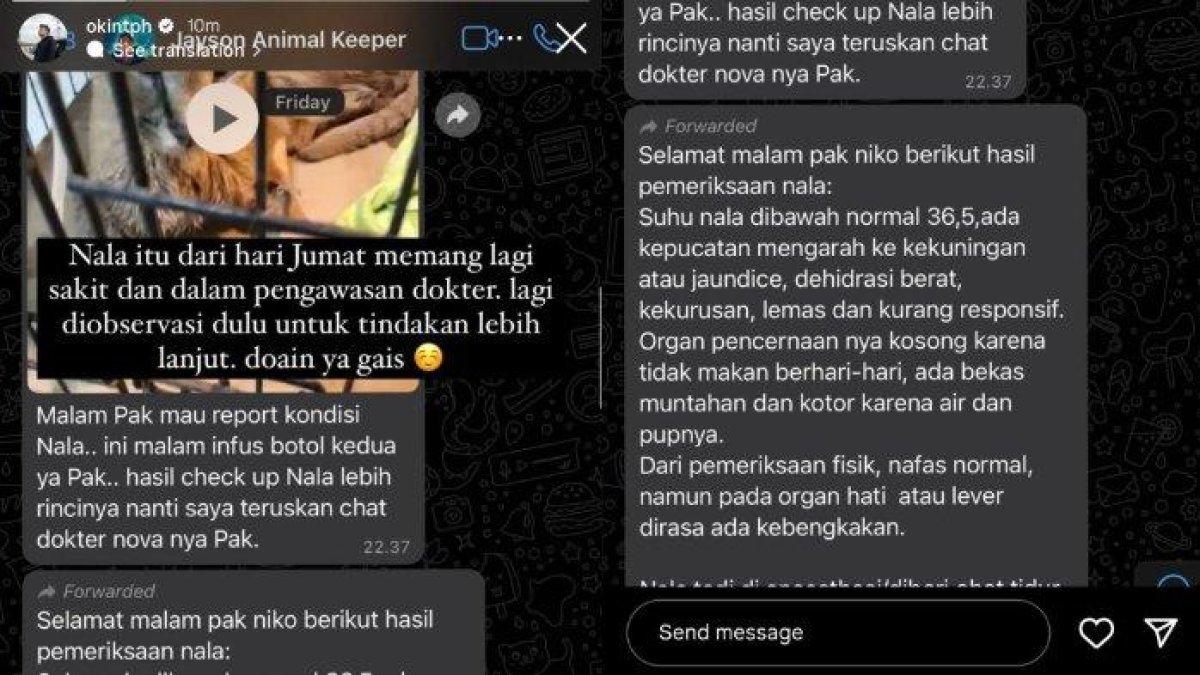 Klarifikasi Okin soal Nala