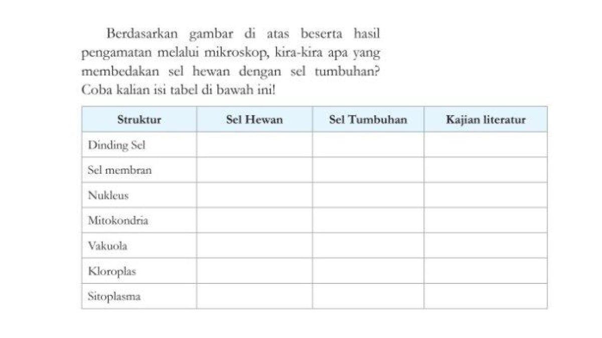 Kunci jawaban IPA kelas 8 halaman 13