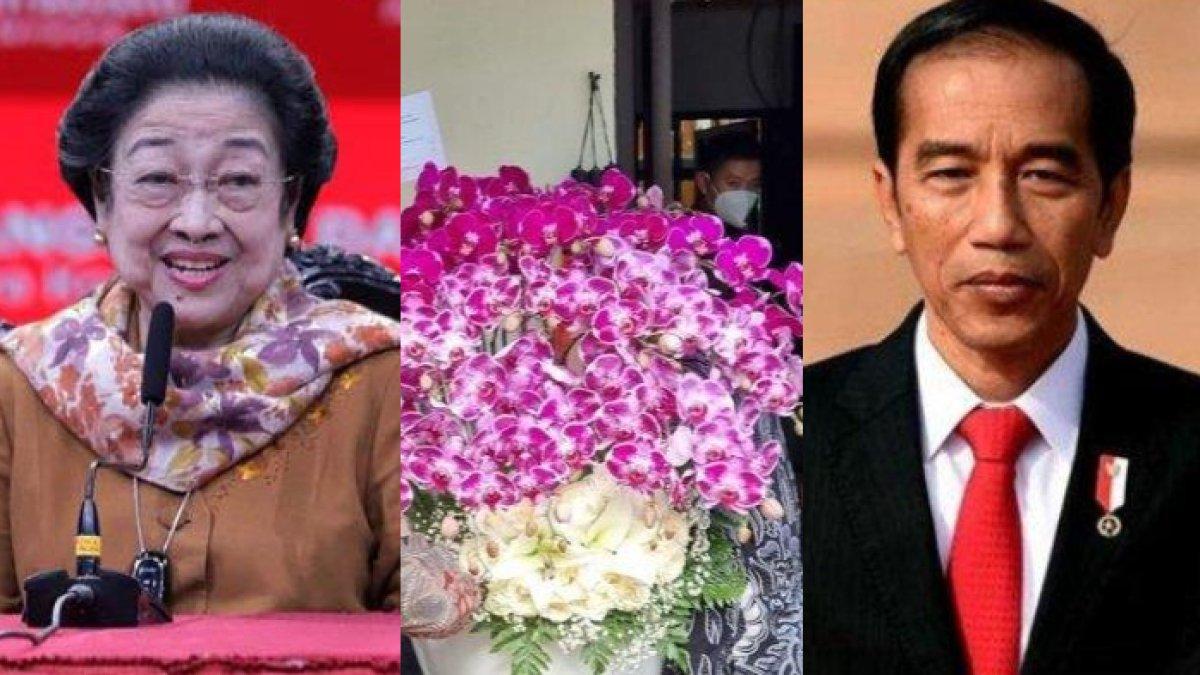 Megawati Soekarnoputri dan Presiden Jokowi.