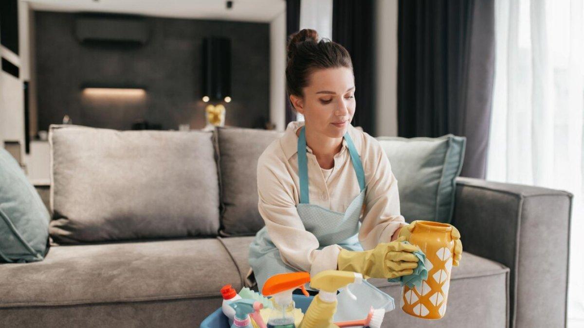 MEMBERSIHKAN WADAH BUNGA - Mulailah hidup sehat dengan menciptakan rumah bebas racun: bersihkan, pilih produk alami, buat pembersih sendiri, dan jaga kesehatan keluarga serta hewan peliharaan.